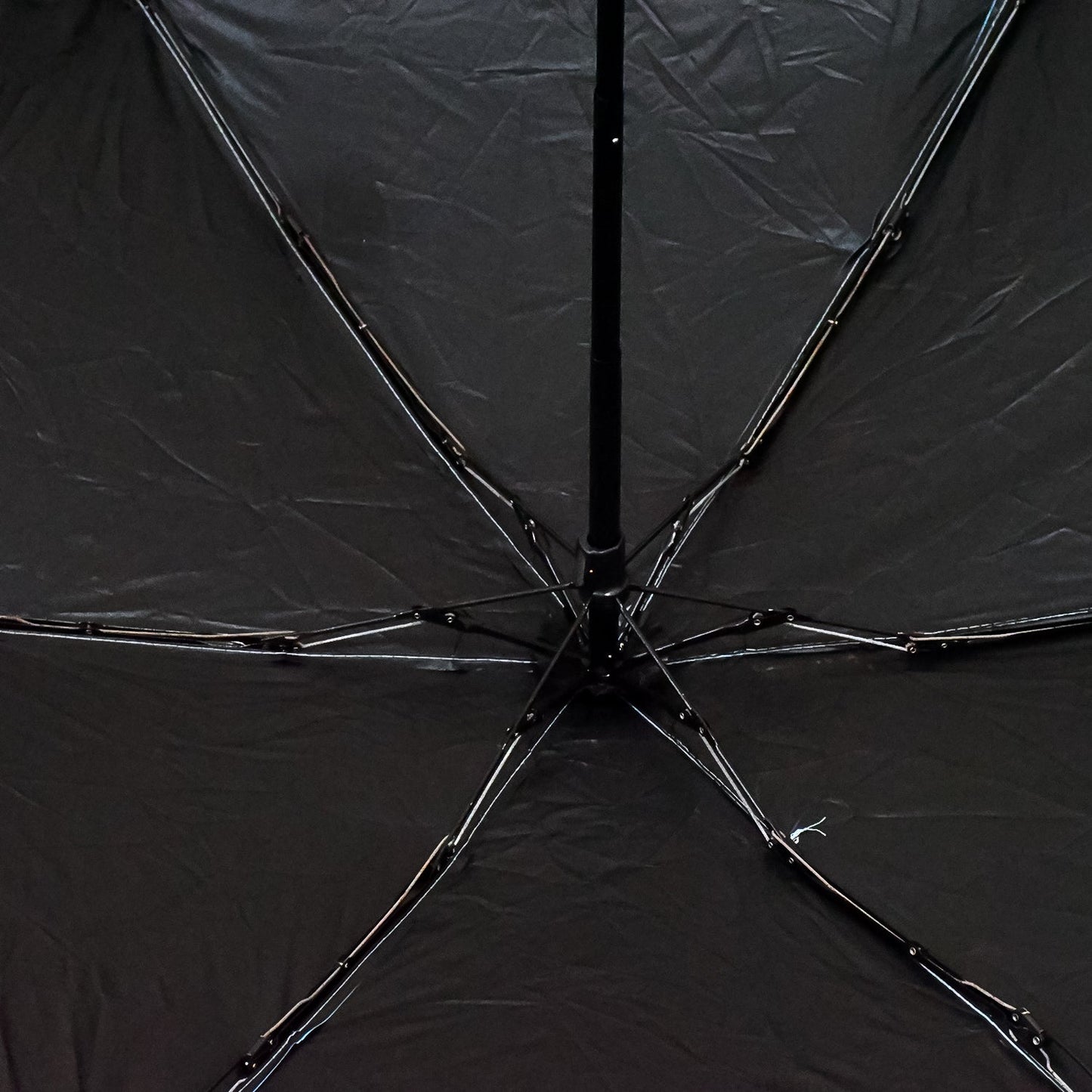 Beautiful 5-Fold Umbrella With Capsule Case